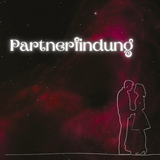 Partnerfindung